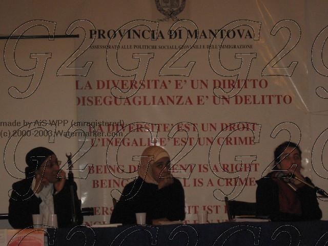 immagine_019_jpg-sized