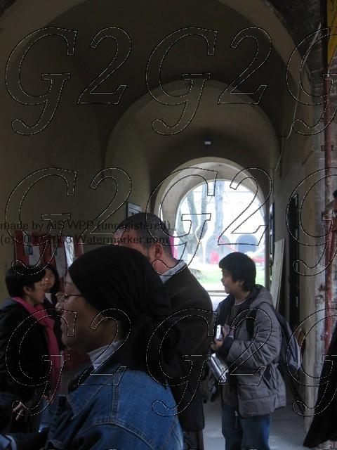 immagine_037_jpg-sized